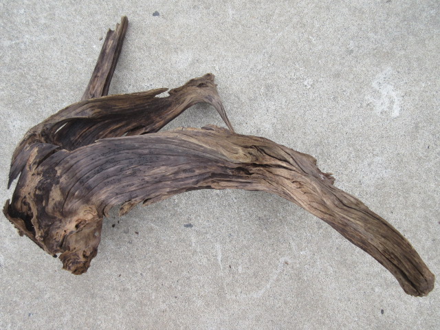 image117