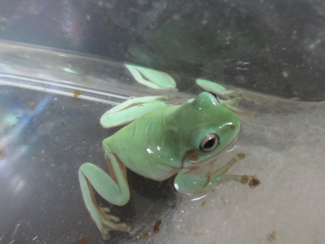 image613