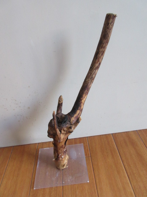image69